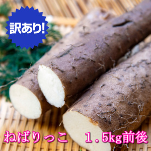 [訳あり]ねばりっこ1.5kg ◇ ※期間限定11月上旬から4月中旬頃に順次発送