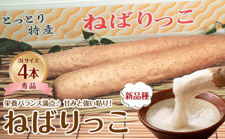 742.�y�i�`�z�˂΂�����@�G3�k×4�{�@�������w��s�@�������ւ̔z���s�@�����������\��