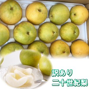 【訳あり】二十世紀梨 4kg【梨・なし】
