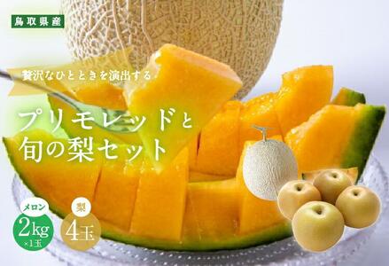 925.【ふるさと納税】【赤肉系メロン】プリモレッド (メロン) と旬の梨セット※離島への配送不可（北海道、沖縄本島は配送可能）