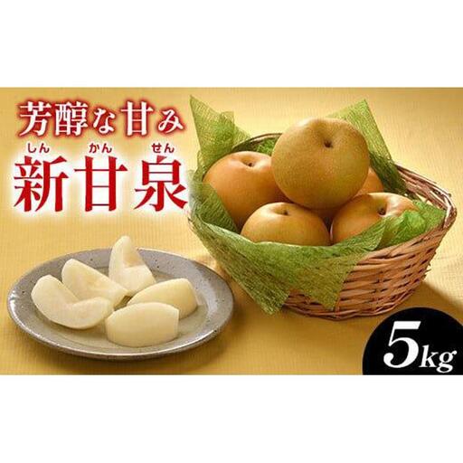 新甘泉（しんかんせん）5kg（ＪＡ）※2026年8月中旬～9月上旬頃に順次発送予定 【梨 なし 果物 フルーツ くだもの 鳥取県産 北栄町 おすすめ 人気】