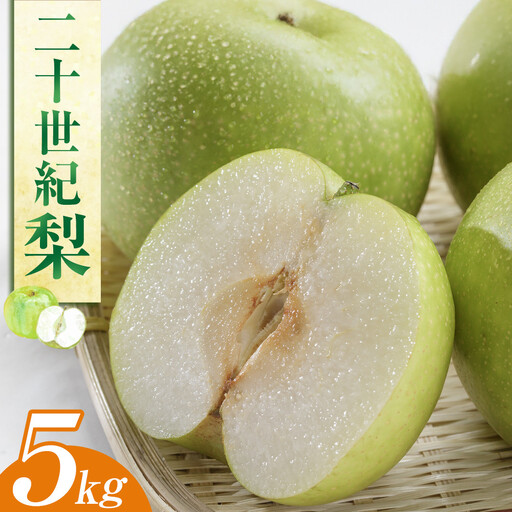 二十世紀 梨 5kg（ＪＡ）※2026年8月下旬～9月上旬頃に順次発送予定   梨