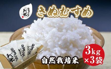 170.日置さん家の自然栽培 米 「 きぬむすめ 」無洗 米 3kg×3袋 2025年産 | こめ きぬむすめ