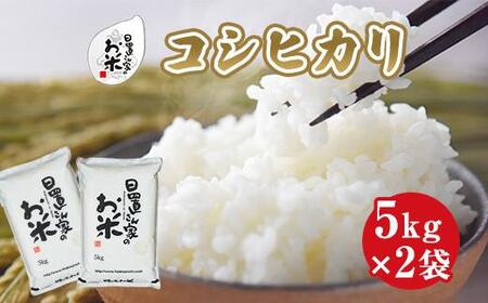 147.日置さん家のお 米 「 コシヒカリ 」5kg×2袋[精 米 ・2025年産]| こめコシヒカリ