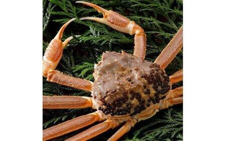 759.yz2025N11    t y uh ^Ot zi900g×1t)  | Jj t