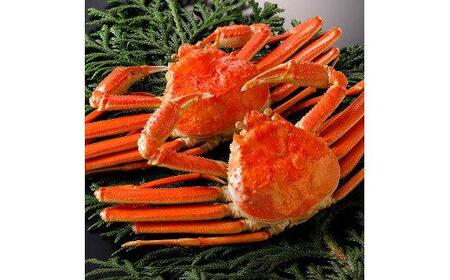 758.y{Cz2025N11   t y uh ^Ot zi900g×2tj |  Jj t