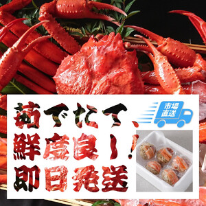 757.�y�{�C���z��2025�N12���`2026�N1�������� ����  ���t���� �y �u�����h �^�O�t�� �z�i900g��×3�t)  |  �J�j ���t����