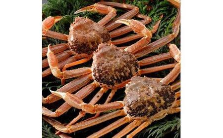 769.yz2025N11   t y uh ^Ot z 500g×3t  | Jj t