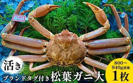 107.[先行予約][活き]ブランドタグ付き松葉ガニ 大 800〜940g前後 1枚[かに カニ 蟹 ズワイガニ]※2025年11月上旬〜2026年3月上旬頃に順次発送予定