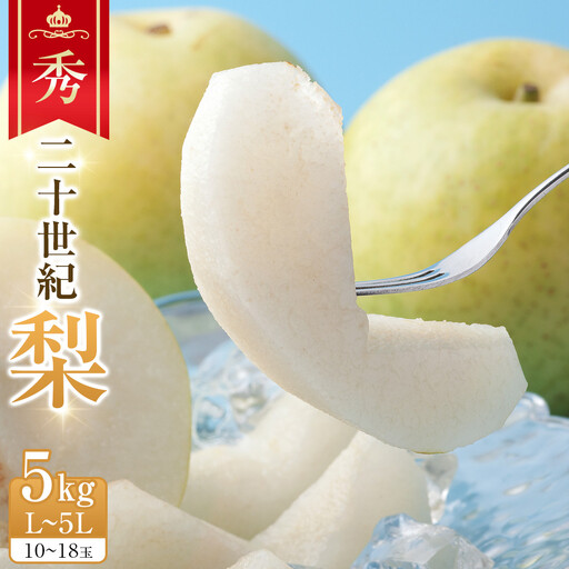 [先行予約]二十世紀梨 秀5kg L〜5L 10〜18玉前後◇ ※2026年8月下旬〜9月下旬頃に順次発送予定