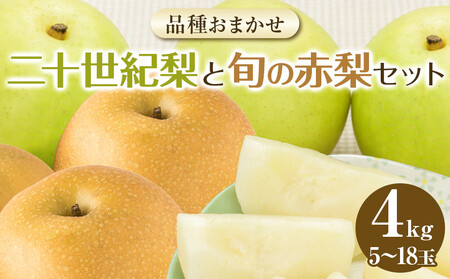 283.[先行予約][品種はおまかせ]二十世紀梨と旬の赤梨セット◇≪二十世紀梨 幸水 秋栄 豊水 新甘泉 しんかんせん 新高梨 セット≫ ※2025年8月下旬〜9月下旬頃に順次発送予定