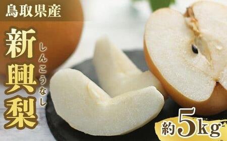 302.[先行予約]新興梨 5〜18玉前後 5kg前後 ※10月〜11月下旬頃に順次発送予定