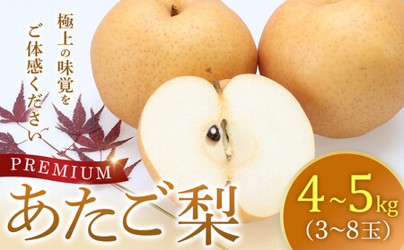 304.プレミアム あたご梨4〜5kg(3〜8玉前後)梨の中でも一番巨大 鳥取県産 ≪梨 なし ナシ 果物 フルーツ くだもの 鳥取県北栄町≫ ※2025年11月下旬〜2026年2月中旬頃に順次発送予定