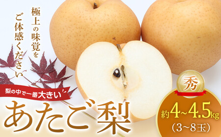  G 4kgȏ`4.5kgi3`8ʑOj2025N11{`2026N2{ɏ\ y Ȃ ʕ t[c  挧Y kh  lCz