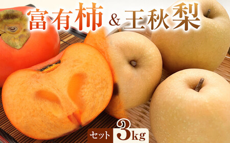 [先行予約]富有柿と王秋 梨 の3kgセット ※2025年11月上旬〜12月上旬頃に順次発送予定 | 梨