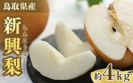 303.[先行予約]新興梨 秀 約4Kg(4〜16玉前後) ※10月〜11月下旬頃に順次発送予定
