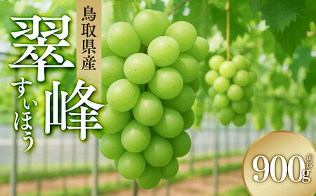 961.ぶどう　翠峰（すいほう）900g前後　※2025年9月中旬～下旬頃に順次発送予定　※北海道・東北・沖縄・離島への発送不可
