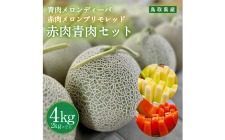 956.【ふるさと納税】青肉メロンディーバと赤肉メロンプリモレッドのセット ※日本全国配送可能  2025年10月上旬頃～11月上旬頃に順次発送予定