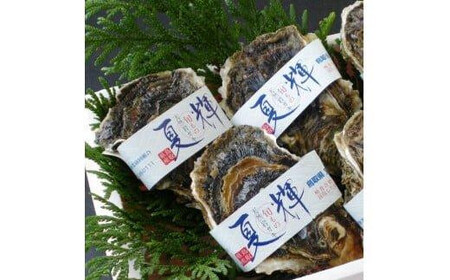 1014.鳥取県産 天然岩ガキ『夏輝』 特大サイズ3個(500g以上×3個) 牡蠣 カキ※着日指定不可※2025年6月上旬〜8月中旬頃に順次発送予定