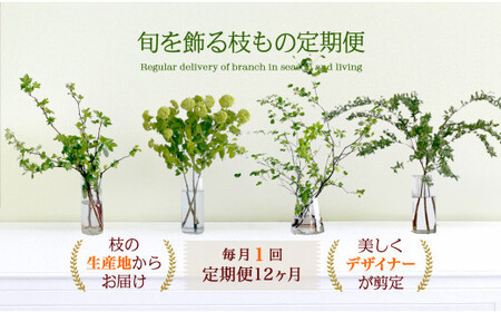 674.[月1回・12ヶ月定期便]旬をかざる枝もの定期便(年12回)+初回ガラスベース付き