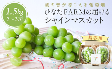 1038.[贈答用]波の音が聴こえる葡萄畑 ひなたFARM シャインマスカット