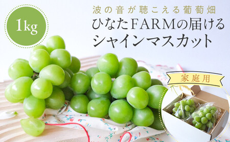 1039.[家庭用]波の音が聴こえる葡萄畑 ひなたFARM シャインマスカット