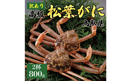 1048.[2025年11月発送]特撰 松葉がに(なま)[訳あり]800g超の大きいサイズ 食べ応えあり 特大2杯