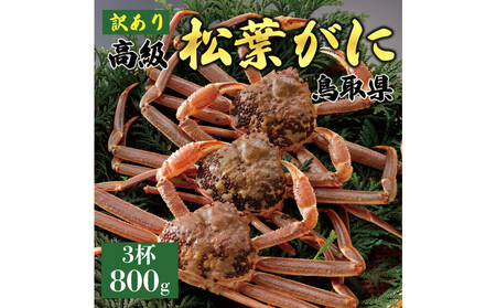 1049.[2025年11月発送]特撰 松葉がに(なま)[訳あり]800g超の大きいサイズ 食べ応えあり 特大3杯
