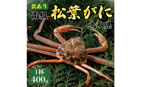 1059.[2025年11月発送]特撰 松葉がに(なま)[訳あり]400g超のサイズ 食べ応えあり 1杯