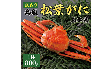 1047.[2025年11月発送]特撰 松葉がに(茹)[訳あり]800g超の大きいサイズ 食べ応えあり 特大1杯