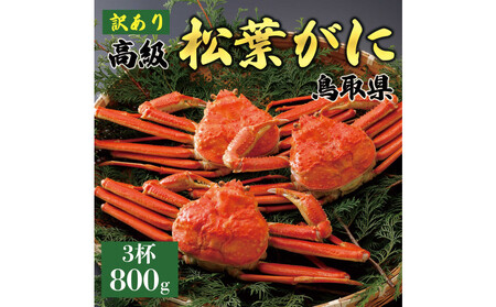 1049.[2025年11月発送]特撰 松葉がに(茹)[訳あり]800g超の大きいサイズ 食べ応えあり 特大3杯