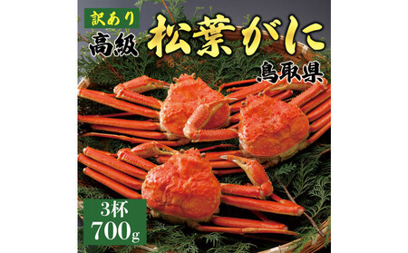 1052.y2025N11z t i䥁jy󂠂z700g̃TCY H׉ 3t  | Jj t