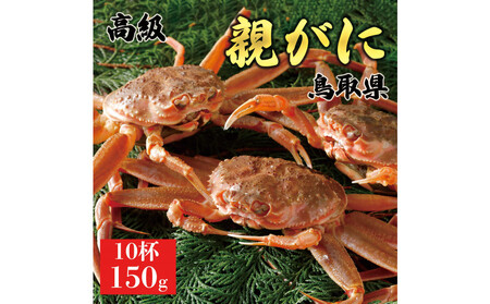 1064.y2025N11z挧Y  e py ZRKj ziȂ܁j150g@10t  | YCKj YCKj X
