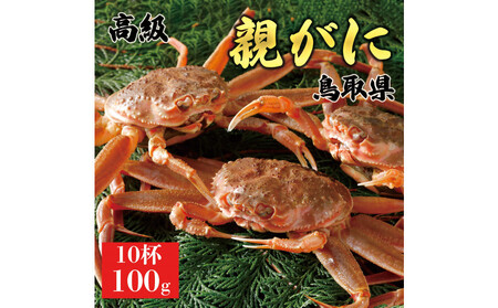 1067.y2025N11z挧Y  e py ZRKj ziȂ܁j100g@10t | YCKj YCKj X