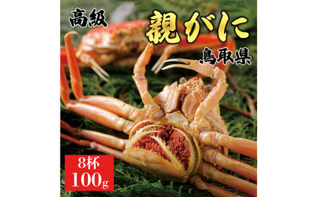 1066.y2025N11z挧Y  e pyZRKjzi䥁j100g 8t