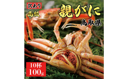 1073.y2025N11z挧Y  e pyZRKjzi䥁jy󂠂z100g 10t