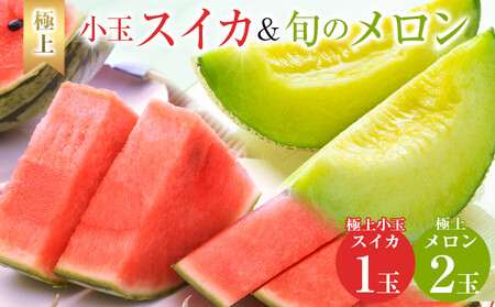 254.【先行予約】極上小玉スイカと旬のメロン2玉セット ※6月上旬～7月下旬頃に順次発送予定