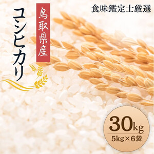 1090.yߘa7NYVāzyHӒmIz 挧Y RVqJ30kg (5kg×6)