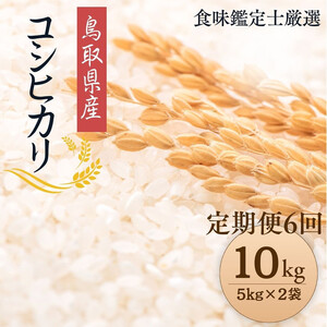 1097.y֑S6zyߘa7NYVāzyHӒmIz 挧Y RVqJ10kg (5kg×2) v 60kg