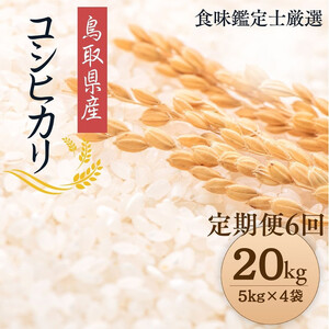 1099.y֑S6zyߘa7NYVāzyHӒmIz 挧Y RVqJ20kg (5kg×4) v 120kg