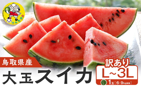 1115.挧Y ʃXCJ 󂠂 1 6-9LOL-3Li̕ԗíAhZł͂܂j