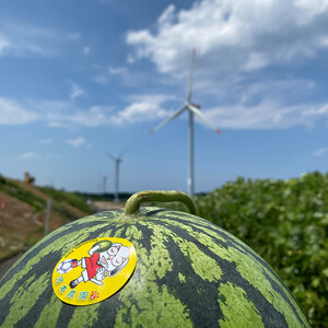 1117.挧Y ʃXCJ 1 7-9LO2L-3LTCYi̕ԗíAhZł͂܂j