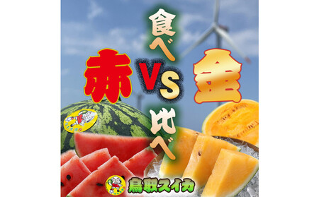 1254.[先行予約]鳥取スイカの食べ比べ!2玉セット(赤肉すいか&金色羅皇)