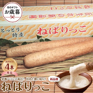 742.【2026年お歳暮　のし付】【先行予約】【ＪＡ】ねばりっこ　秀3Ｌ×4本　※着日指定不可　※離島への配送不可　※順次発送予定