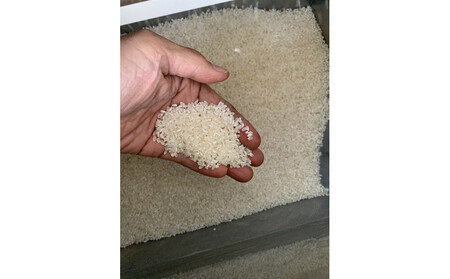 1261.[令和7年産] たかた農園のお米「きぬむすめ」はでかけ 天日干し[精米10kg]