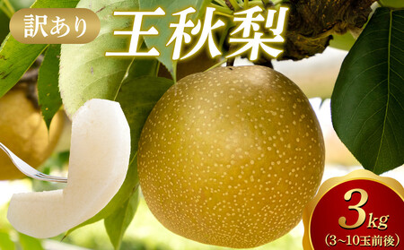 �y2026�N1���������z�y�󂠂�z���H�� 3kg�i�R�`10�ʑO��j