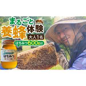 1282.[要予約 大人1名様用]あんどう養蜂 まるごと養蜂体験(約3時間)はちみつ600g付き