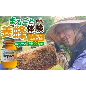 1283.[要予約 親子用(大人1名様+小学生1名様)]あんどう養蜂 まるごと養蜂体験(約3時間)はちみつ大人:600g、小学生:300g付き