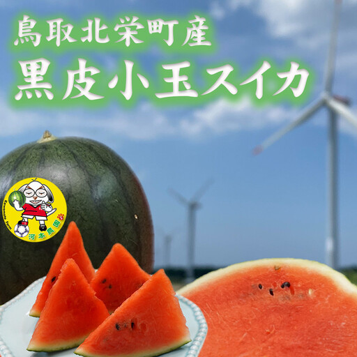 【先行予約】黒皮小玉スイカ 鳥取県北栄町産 農家指定（こちらの返礼品は、大栄西瓜ではありません）