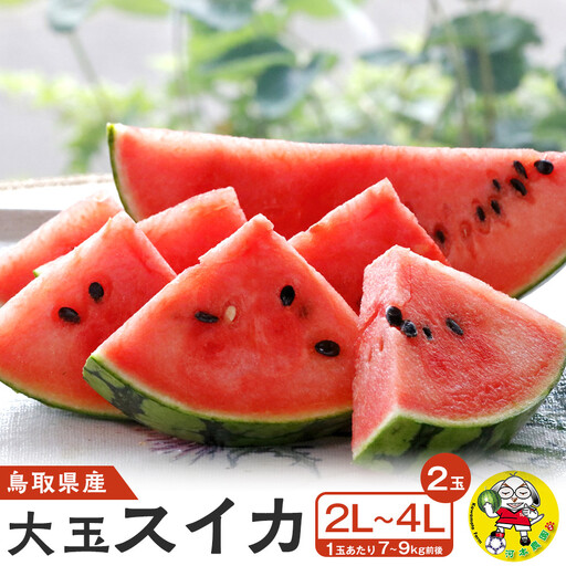 【先行予約】鳥取県北栄町産 大玉スイカ(2玉セット)１玉あたり7-9キロ前後2L-4Lサイズ（こちらの返礼品は、大栄西瓜ではありません） スイカ